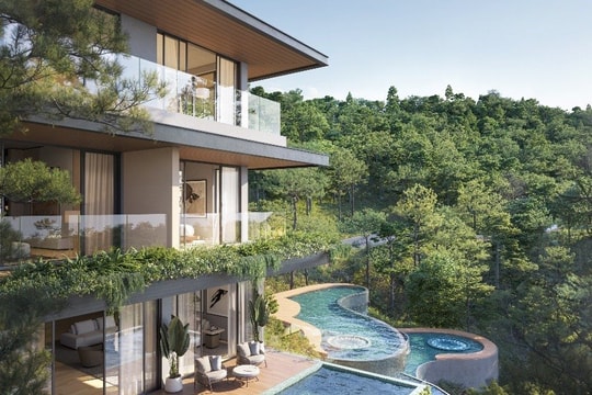 Camellia Residences - Tạo tác vượt thời gian giữa miền thông reo