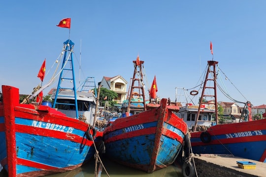 Chống khai thác IUU: Nghệ An ghi nhận nhiều chuyển biến tích cực