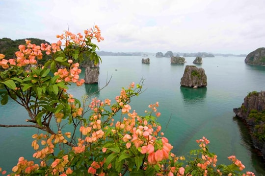Chủ động bảo vệ tài nguyên thiên nhiên, hướng tới phát triển bền vững