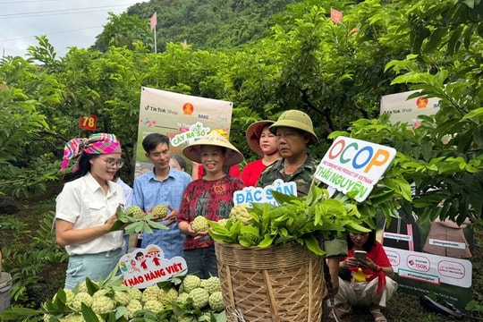 Hướng phát triển kinh tế mới vùng dân tộc thiểu số Thái Nguyên