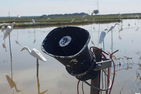 Nghệ An quyết liệt chặn đứng các hành vi xâm hại động vật hoang dã