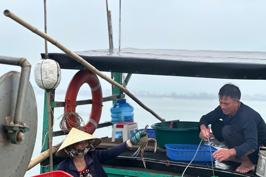 Hà Tĩnh nỗ lực chống khai thác IUU
