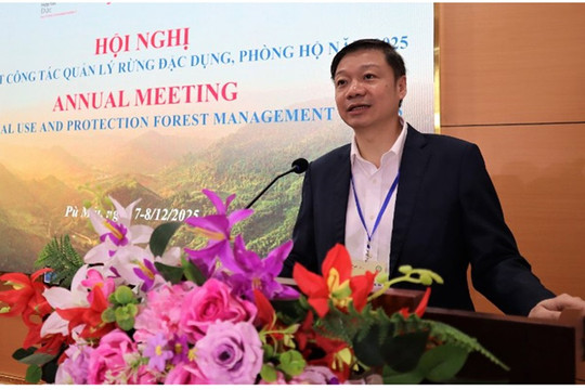 Số vụ phá rừng trái phép và cháy rừng năm 2025 giảm