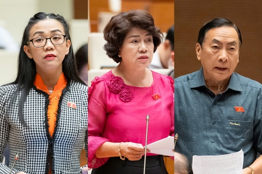 Đại biểu Quốc hội: Cần thận trọng khi phát triển điện hạt nhân module nhỏ (SMR)