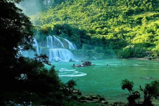 Chương trình 1 tỷ cây xanh: Nỗ lực ứng phó biến đổi khí hậu và phục hồi thiên nhiên toàn cầu