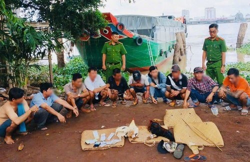 Bắt quả tang 10 đối tượng đánh bạc bằng hình thức đá gà