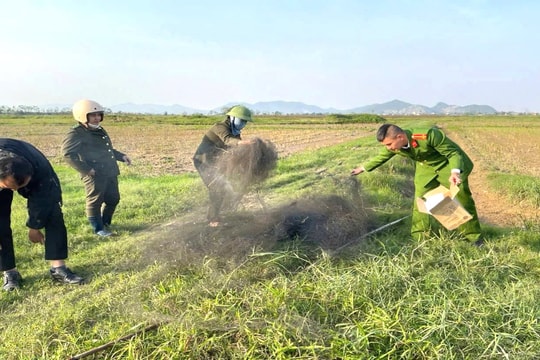 Cứu những mùa chim