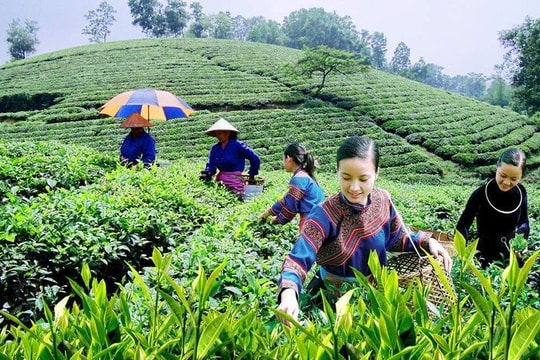Thái Nguyên luôn đồng hành cùng đồng bào DTTS phát huy nội lực phát triển