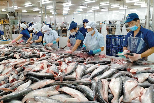 Xuất khẩu thuỷ sản năm 2025 có thể cán mốc 11 tỷ USD