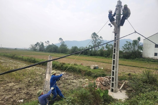 Kịp thời khắc phục hệ thống điện đổ gãy do bão