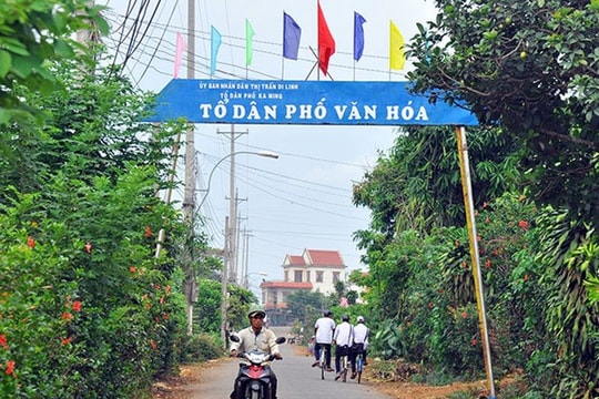 Hướng dẫn mới về tổ chức, hoạt động thôn, tổ dân phố