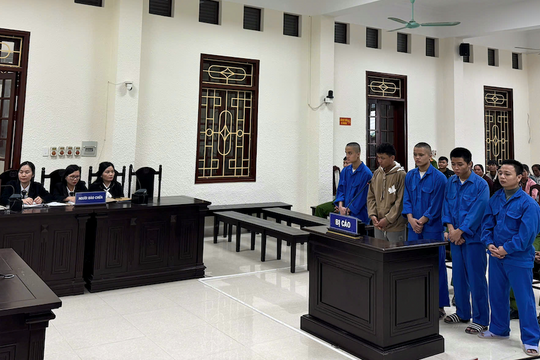 Lĩnh án chung thân vì vận chuyển gần 18kg ma túy