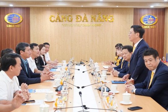 Cảng Đà Nẵng – Cảng Cam Ranh tăng cường kết nối, chia sẻ kinh nghiệm phát triển