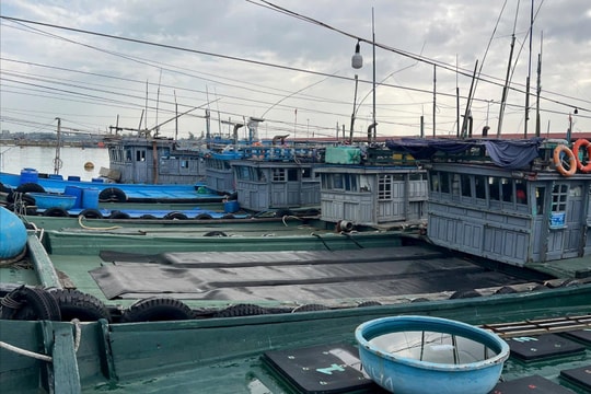 Ngư dân Huế khốn khó vì hồ sơ hỗ trợ nhiên liệu bị 'treo' do án nhận hối lộ