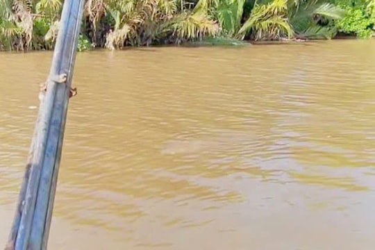 Khẩn trương tìm kiếm người đàn ông mất tích do lật vỏ lãi
