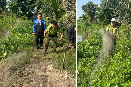 Hải Phòng: Ngăn chặn tình trạng săn bắt chim hoang dã, chim di cư trái phép