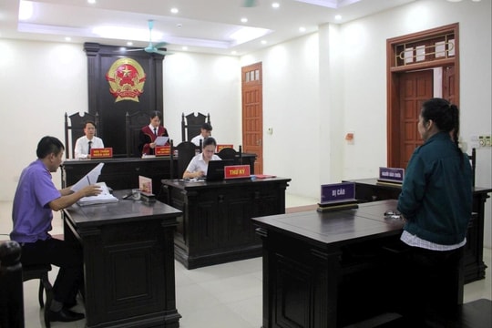 Tòa Hình sự (TAND tỉnh Ninh Bình): Nâng cao chất lượng giải quyết, xét xử các vụ án hình sự