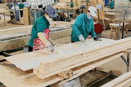 Nâng giá trị gia tăng cho ngành gỗ để tăng trưởng bền vững