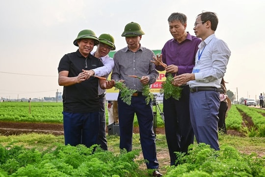 Kết nối nông sản vùng Đồng bằng sông Hồng