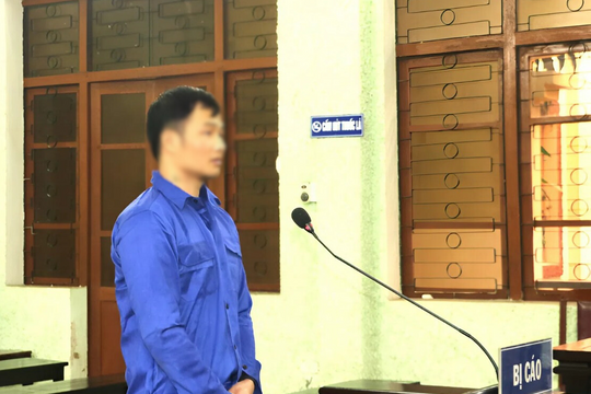 Mua bán 3 cây ma túy, bị cáo lĩnh 20 năm tù