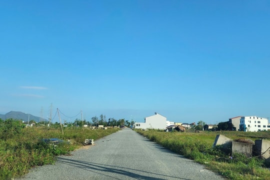 Phường Vinh Hưng đề xuất phương án xử lý vụ một thửa đất bị bán đấu giá hai lần