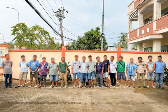 Bắt quả tang 17 đối tượng đá gà qua mạng tại quán cà phê