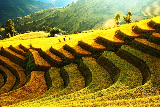 Sơn La khẳng định tiềm năng du lịch trong kỷ nguyên số