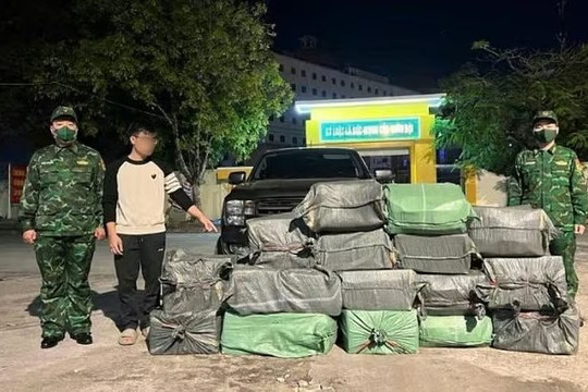 Bắt giữ vụ vận chuyển trái phép gần 400kg lòng lợn sấy bốc mùi ở Móng Cái