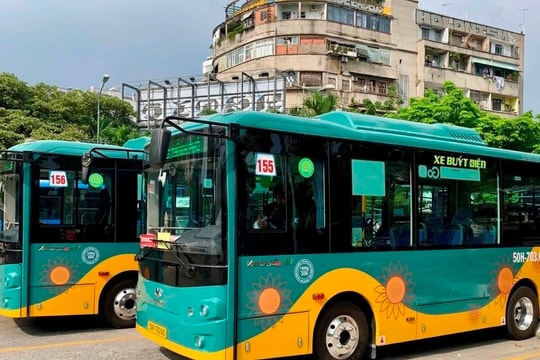 Mở rộng đấu thầu xe buýt, TP.HCM tiết kiệm hơn 216 tỷ đồng ngân sách