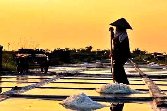 Từ cánh đồng muối mặn đến giấc mơ ngọt lành