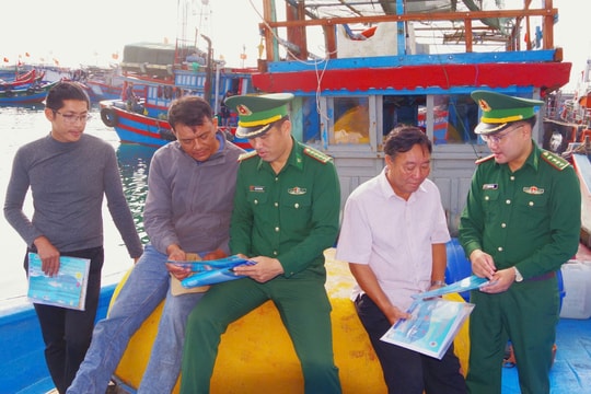 Quảng Ngãi chi hơn 20 tỷ đồng hỗ trợ chuyển đổi nghề, giải bản tàu cá