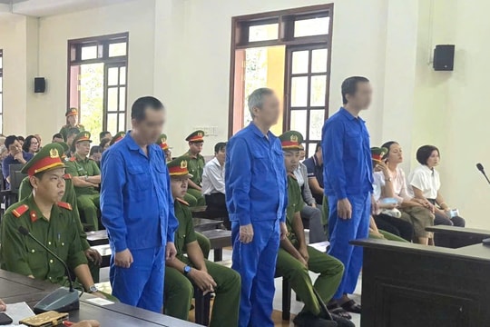 Lĩnh án tù vì gây thất thoát ngân sách Nhà nước