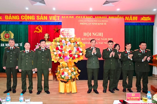 Hải Phòng: Phát hiện, xác minh 18 vụ việc trên lĩnh vực kinh tế