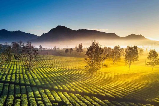 Thời tiết hôm nay 05/01: Tây Nguyên, Nam Bộ ngày nắng, đêm có mưa và dông