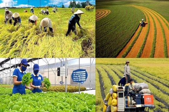 Chính sách mới có hiệu lực từ tháng 1/2026