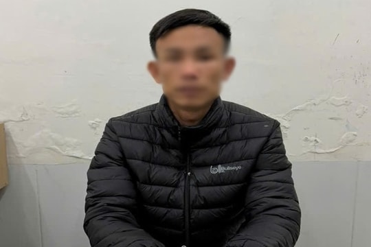 Bắt giữ đối tượng trộm cắp tài sản