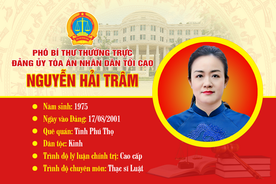 Tóm tắt quá trình công tác của Phó Bí thư Thường trực Đảng ủy TANDTC Nguyễn Hải Trâm