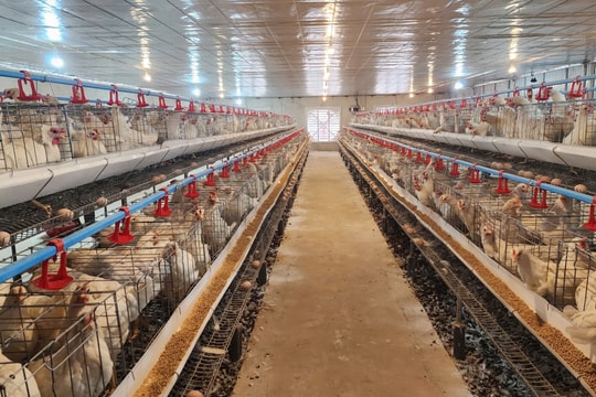 Lồng ghép nhiều chính sách trong công tác giảm nghèo tại Hà Tĩnh