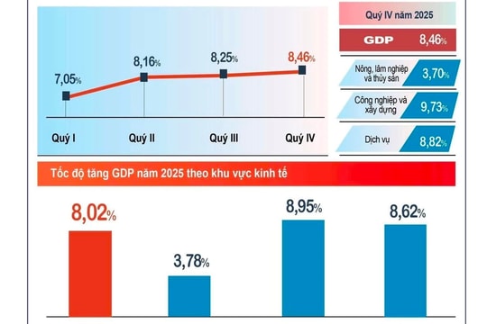 Hải Phòng: Ra quân tổng điều tra kinh tế năm 2026