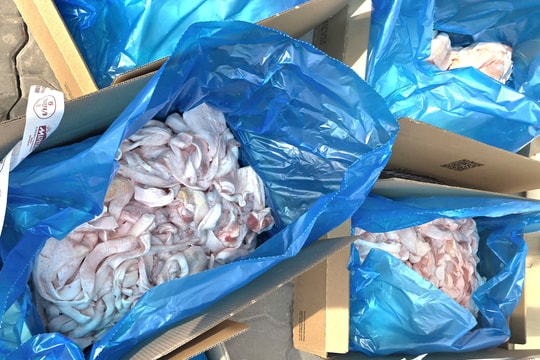 Phát hiện hơn 120 tấn thịt lợn nhiễm bệnh chuẩn bị chế biến làm thịt hộp