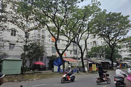 Đà Nẵng chấp thuận đầu tư dự án nhà ở xã hội 700 tỷ đồng tại Khu đô thị Cồn Tiến