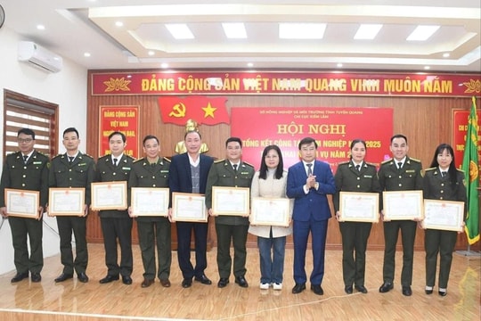 Tuyên Quang: Xử lý nghiêm hành vi xâm hại tài nguyên rừng