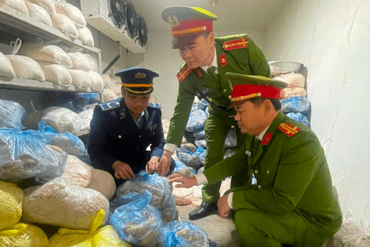 Nghệ An tiêu hủy hơn 2 tấn thực phẩm bẩn trước thềm Tết Nguyên đán