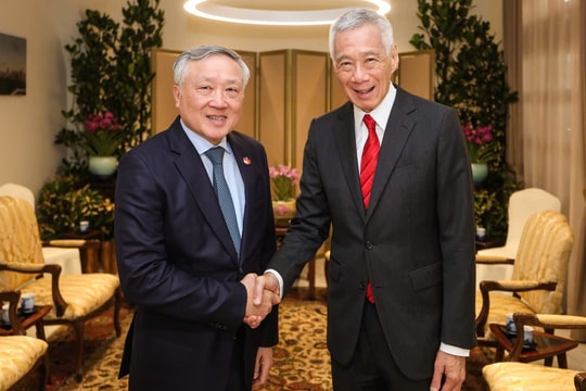 Phó Thủ tướng Thường trực  Nguyễn Hòa Bình hội kiến Bộ trưởng Cao cấp Singapore Lý Hiển Long