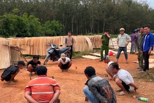 Đột kích tụ điểm cá độ đá gà giữa cao điểm trấn áp tội phạm