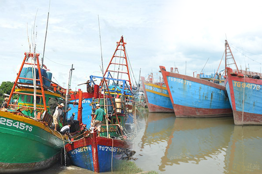 Đồng Tháp siết chặt quản lý tàu cá, quyết liệt ngăn chặn vi phạm IUU
