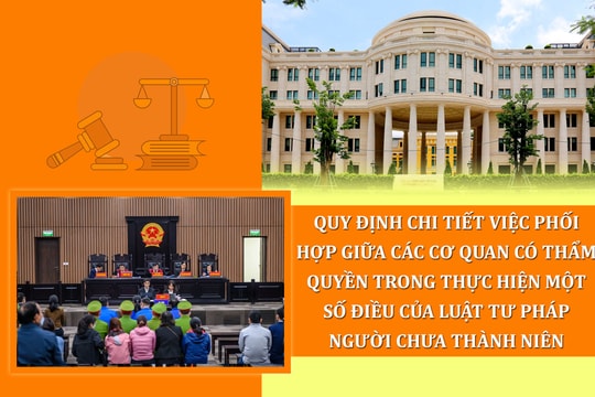 Phối hợp liên ngành trong tư pháp người chưa thành niên: Bước tiến để bảo vệ quyền trẻ em trong tố tụng