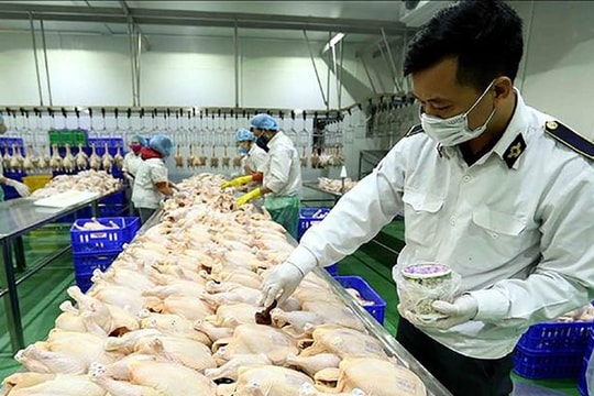Những động vật, sản phẩm động vật trên cạn thuộc diện phải kiểm dịch