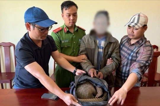 Bắt quả tang đối tượng vận chuyển trái phép cá thể tê tê quý hiếm