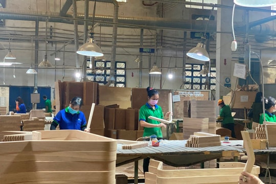 Thị trường gỗ công nghiệp bắt đầu tăng tốc